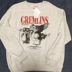 Item thumbnail for item 519dd787-087d-4017-af2f-2f2de52dc38b