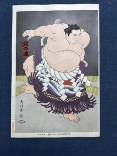 ベトナム 米絵 相撲 ライスピクチャー 日本画 人物画 力士 千代の富士 ベトナム 米絵 相撲 ライスピクチャー 日本画 人物画 力士 千代の富士