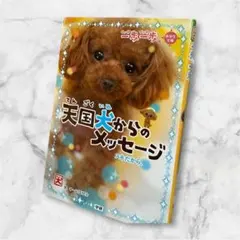 天国犬からのメッセージ スキだから。 小学生文庫 学研