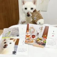 Item thumbnail for item cbfc85c3-bd75-4446-a166-6746d0e0a04a