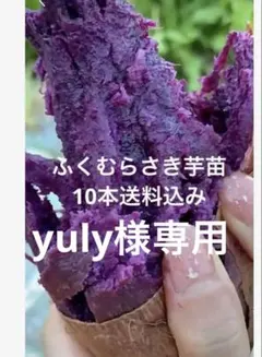 2026年最新】ふくむらさき 苗の人気アイテム - メルカリ