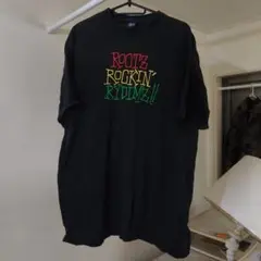 これからフェスに！Stussy　ラスタカラー Tシャツ L