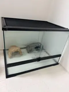 爬虫類用 ガラス飼育ケージ 飼育セット【直接手渡し限定】のサムネイル