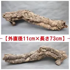 B094 ポルトガル産キャノンコルク コルク樹皮コルク板 バージンコルク