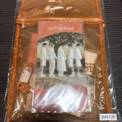 TXT プレミアムシート特典 ヒュニンカイ