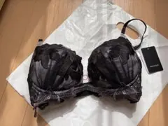 ravijour ブラショーツセット　d65 RAVIJOUR新作 D65アイボリー 花柄刺繍 ブラジャーショーツセット