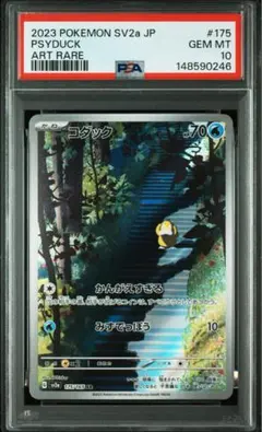 2026年最新】コダック ar psa10の人気アイテム - メルカリ