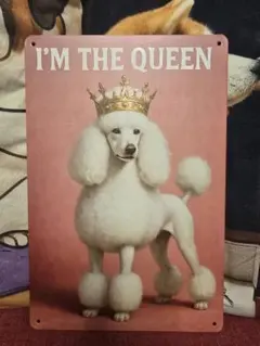 アーリー様 リクエスト 2点 まとめ商品