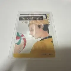 照島遊児　クリアカード