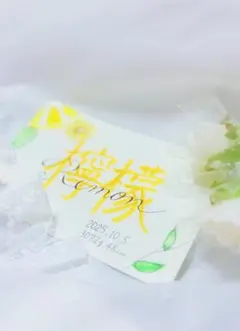 お急ぎ便　ひまわり※プロフ必読！様専用ページ　水彩画キャンバス命名書 : 命名紙 用紙のみ デザイン命名紙（水彩ブルー）A4サイズ