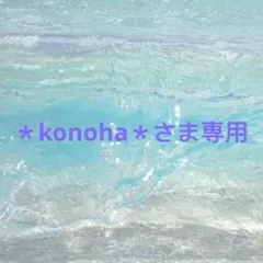 ＊konoha＊さま専用