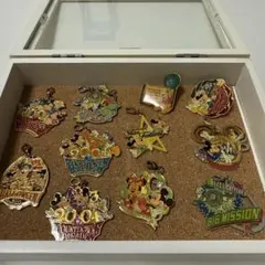 【非売品】東京ディズニーランド 2004年 ピンバッジセット