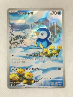 ポッチャマAR インフェルノX