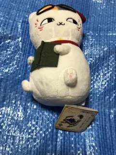 ニャンコ先生と読書の時間