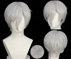 獄寺隼人 コスプレ 家庭教師ヒットマンREBORN! ウィッグ+ネット新品