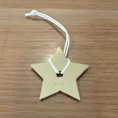 Dior ラッキースターチャーム