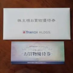 YAMADA HLDGS. お買物優待券 10枚セット