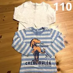 恐竜プリント 長袖カットソー 2枚セット110cm