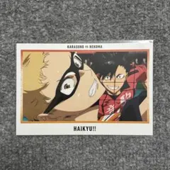 劇場版ハイキュー!!展 ゴミ捨て場の決戦 ポストカード⑪ 烏野音駒