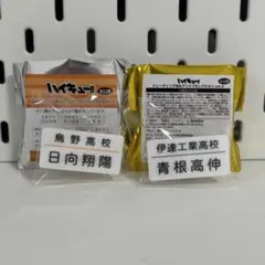 ハイキュー 名札セレクション 日向翔陽 青根高伸