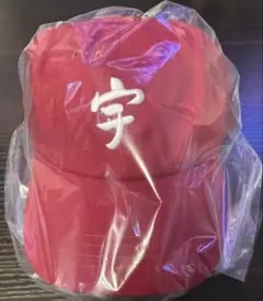 ZORN 宇ち多" All My Homies CAP 帽子　バーガンディ　新品