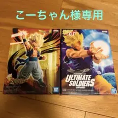 こーちゃん様 リクエスト 2点 まとめ商品