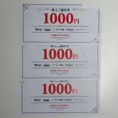 ジャパンクラフト 株主優待券 3000円【メルカリ便・送料込み】