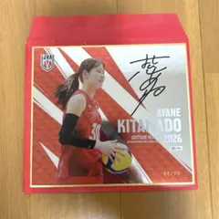 北窓絢音 シークレット サイン入り ミニ色紙 バレーボール女子日本代表