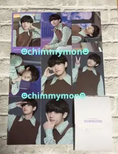 SOWOOZOO ソウジュ ミニフォト☆テテ☆コンプ8枚セット BTS