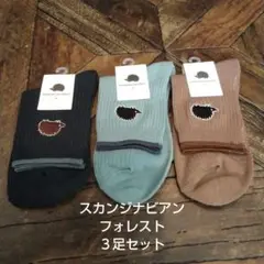 スカンジナビアンフォレストソックス３足セット(新品　未使用)