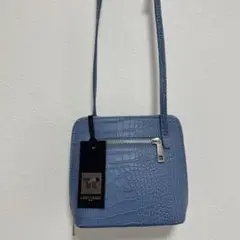 【新品タグ付き】LAURADIMAGGIO✕ Ray BEAMSショルダーバッグ