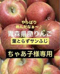 青森県産りんご【葉とらずサンふじ】933家庭用3kg ちゃぁ子様専用