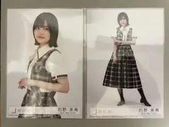 的野美青 櫻坂46 Lonesome rabbit 生写真 座りヨリヒキ - メルカリ