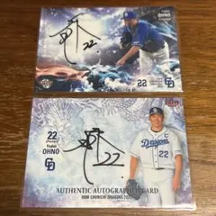 野球 Bbm カード サイン 相川七瀬 直筆サイン入り始球式プロ野球 BBM