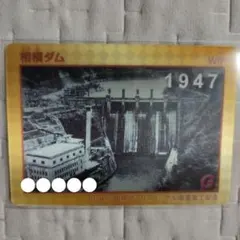 プレミアムダムカードセット 2026年最新】プレミアムダムカードの人気アイテム - メルカリ