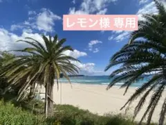 レモン様 専用