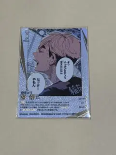 シ*読様 ハイキュー!! バボカ 宮侑 頂P