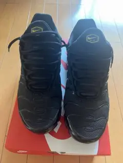Nike Air Max Plus Black/University Gold