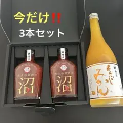 아라고시 오렌지 720ml 스트로베리 사케 스트로베리 사케 리큐어 200ml 세트