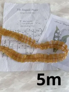 B349　金縁茶色両山オーガンジー生地フリルレース　手芸用品