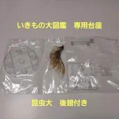 いきもの大図鑑専用ディスプレイスタンドセット　昆虫大　後翅付き