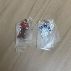 スーパー戦隊　めじるしアクセサリー　ゴーカイジャー　脳人ブレス　2点セット