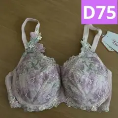 セール　トリンプ　ブラジャー単品　D75