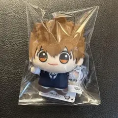 家庭教師ヒットマンREBORN! ちびぐるみ 沢田綱吉 新品未使用タグ付