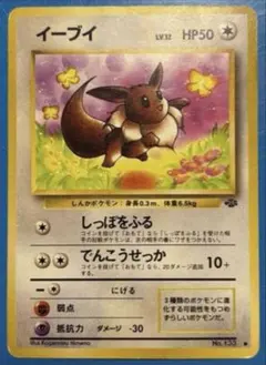イーブイ ● 第2弾拡張パック ポケモンジャングル