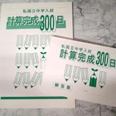 【塾専用】私国立中学入試 計算完成 300日 解答集付きのサムネイル
