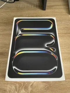 Apple iPad Pro 11インチ(M4) 256GB Wi-Fi※限界