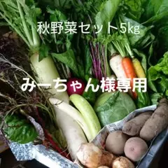 みーちゃん様専用