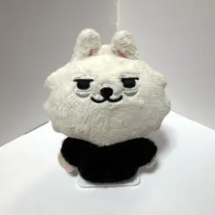 2026年最新】txt プルバトゥ ヨンモンの人気アイテム - メルカリ