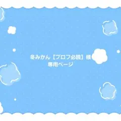 冬みかん様 専用ページ
